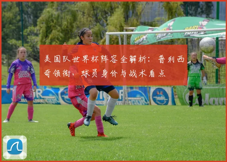 美国队世界杯阵容全解析：普利西奇领衔，球员身价与战术看点