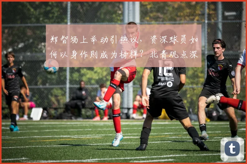 郑智场上举动引热议,资深球员如何以身作则成为榜样?北青观点深度解读